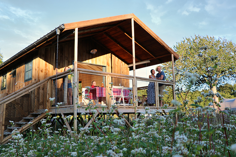 Glamping Dihan Evasion